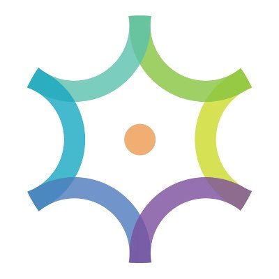 The Company Logo