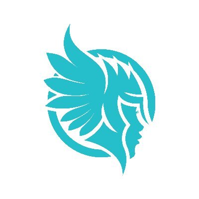The Company Logo