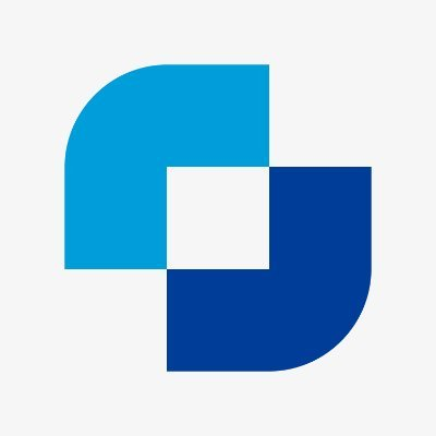 The Company Logo