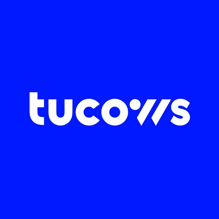 The Company Logo